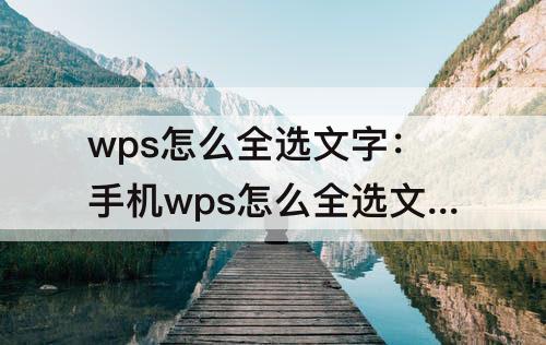 wps怎么全选文字：手机wps怎么全选文字和图片
