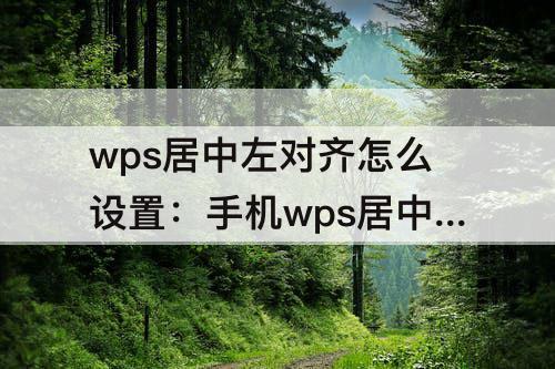 wps居中左对齐怎么设置：手机wps居中左对齐怎么设置