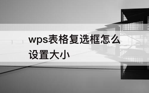 wps表格复选框怎么设置大小