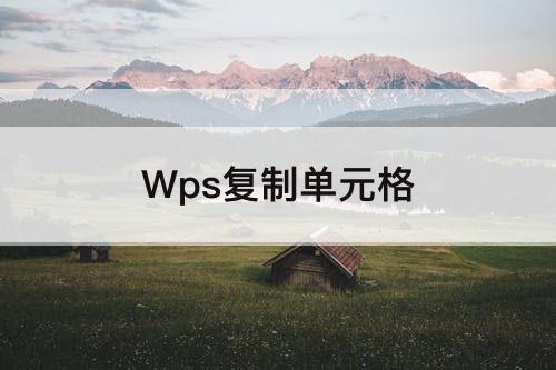 Wps复制单元格
