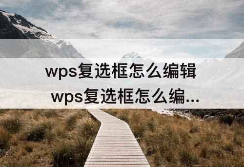 wps复选框怎么编辑 wps复选框怎么编辑文字