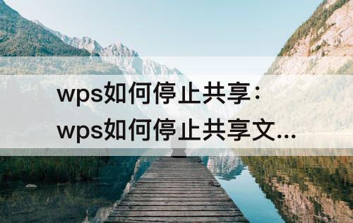 wps如何停止共享：wps如何停止共享文档