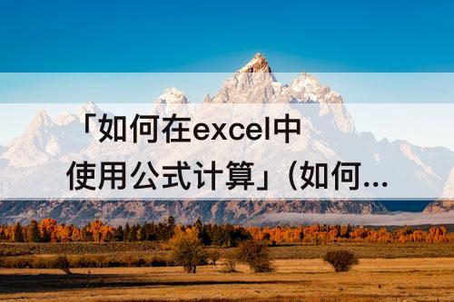 「如何在excel中使用公式计算」(如何在excel中使用公式计算比例)