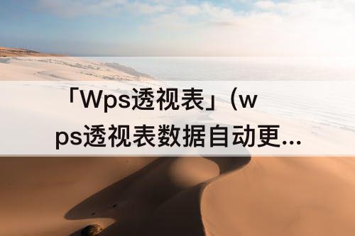 「Wps透视表」(wps透视表数据自动更新)