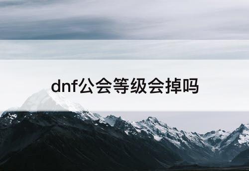 dnf公会等级会掉吗