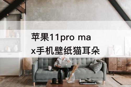 苹果11pro max手机壁纸猫耳朵