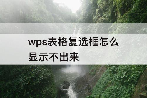 wps表格复选框怎么显示不出来