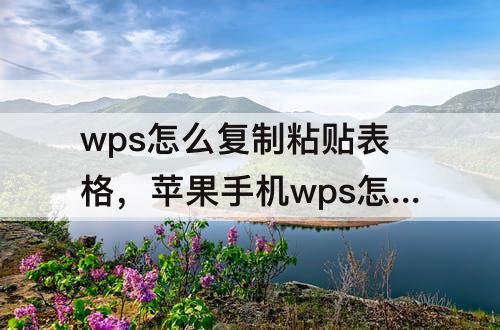 wps怎么复制粘贴表格，苹果手机wps怎么复制粘贴表格内容