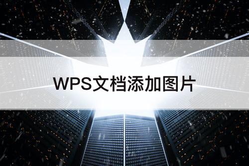WPS文档添加图片