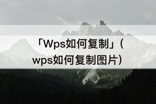 「Wps如何复制」(wps如何复制图片)