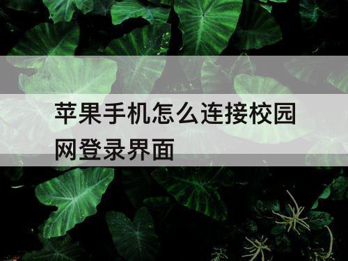 苹果手机怎么连接校园网登录界面