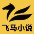 飞马小说网最新版免费阅读无弹窗