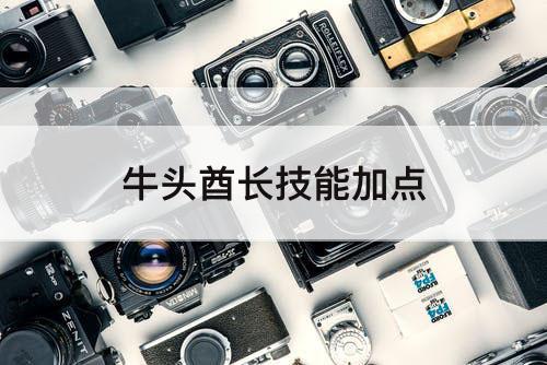 牛头酋长技能加点