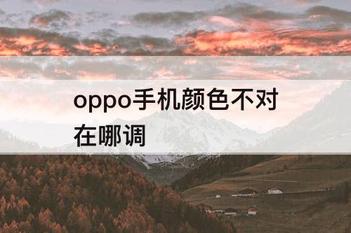 oppo手机颜色不对在哪调