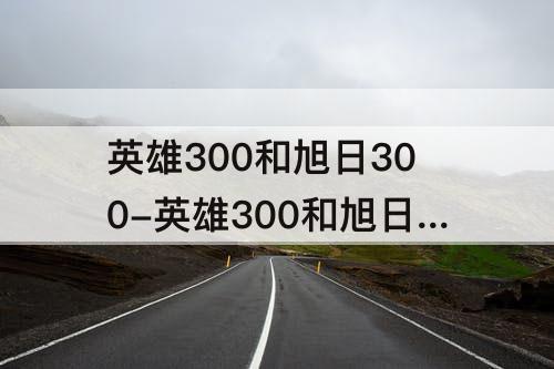 英雄300和旭日300-英雄300和旭日300pro