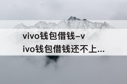 vivo钱包借钱-vivo钱包借钱还不上怎么办会受到法律任的责任吗
