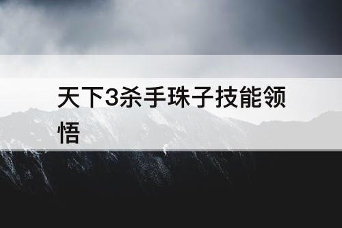 天下3杀手珠子技能领悟