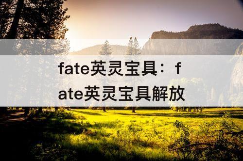 fate英灵宝具：fate英灵宝具解放