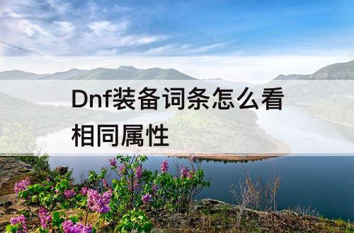 Dnf装备词条怎么看相同属性