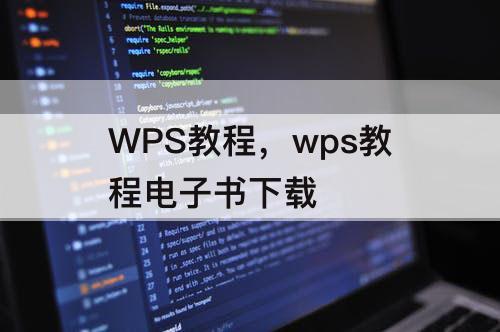 WPS教程，wps教程电子书下载