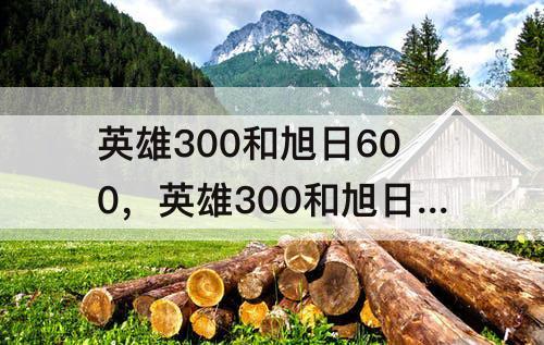 英雄300和旭日600，英雄300和旭日600哪个好