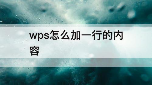 wps怎么加一行的内容