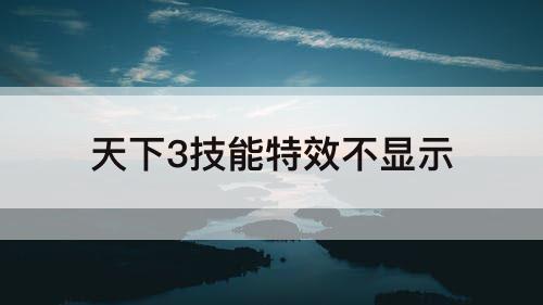 天下3技能特效不显示