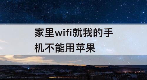 家里wifi就我的手机不能用苹果