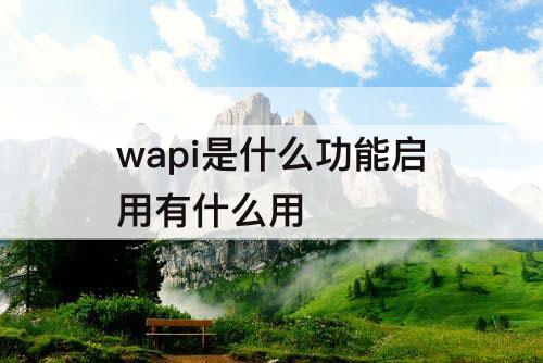 wapi是什么功能启用有什么用