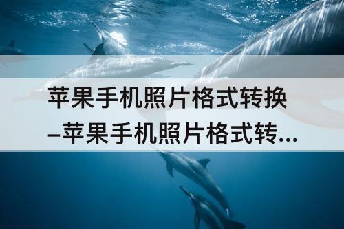 苹果手机照片格式转换-苹果手机照片格式转换jpeg