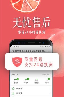 莱丰网截图