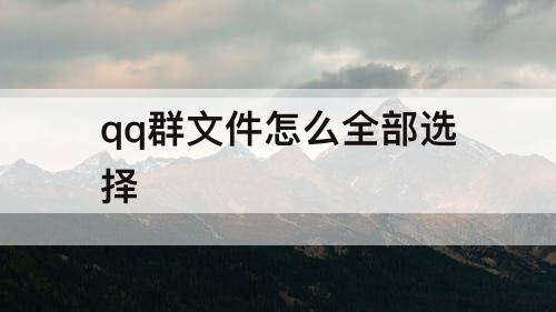 qq群文件怎么全部选择