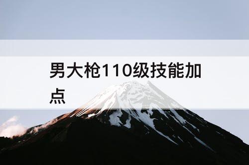 男大枪110级技能加点