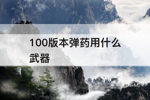 100版本弹药用什么武器