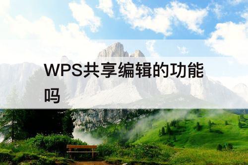 WPS共享编辑的功能吗