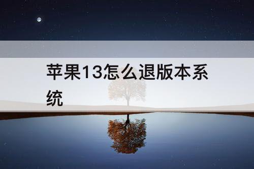 苹果13怎么退版本系统