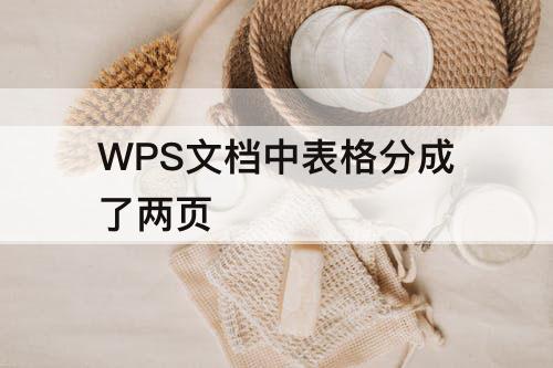 WPS文档中表格分成了两页