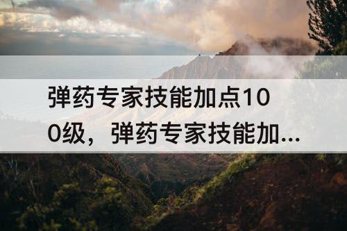 弹药专家技能加点100级，弹药专家技能加点100级三觉