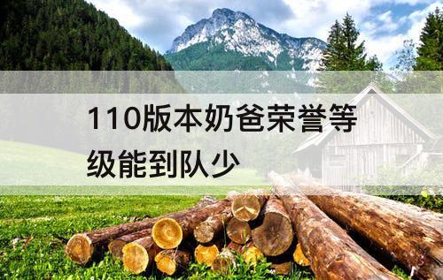 110版本奶爸荣誉等级能到队少