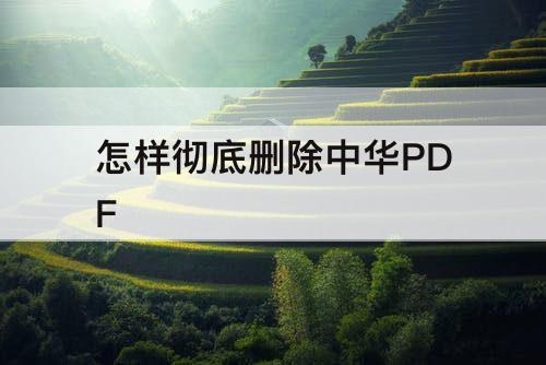 怎样彻底删除中华PDF