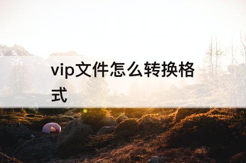 vip文件怎么转换格式