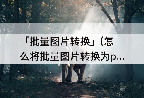 「批量图片转换」(怎么将批量图片转换为pdf文档)