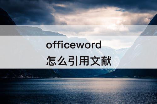 officeword怎么引用文献