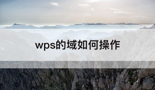 wps的域如何操作