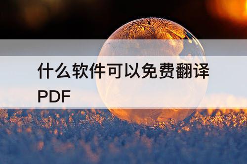 什么软件可以免费翻译PDF