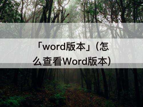 「word版本」(怎么查看Word版本)