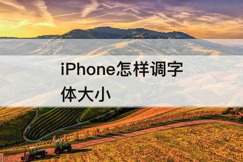 iPhone怎样调字体大小