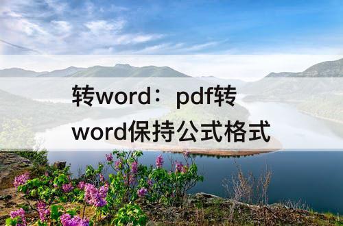 转word：pdf转word保持公式格式