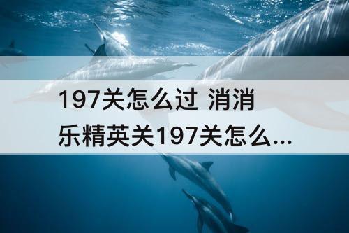 197关怎么过 消消乐精英关197关怎么过