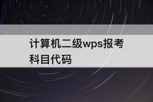 计算机二级wps报考科目代码